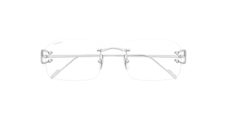 
  
    CT0489S CARTIER SUNGLASSES
  
