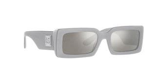 
  
    METALLIC GREY | LIGHT GREY MIRROR SILVER
  
