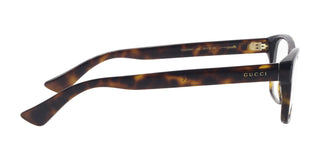 
  
    HAVANA | TRANSLUCENT
  
