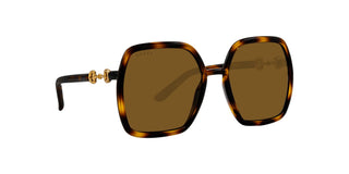 
  
    HAVANA | SOLID DARK BRONZE
  
