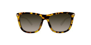 
  
    TORTOISE | BRONZE GRADIENT
  
