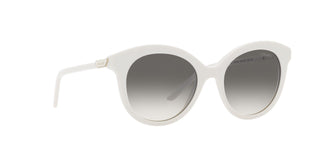 
  
    TEAL | GREY GRADIENT
  
