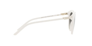 
  
    TEAL | GREY GRADIENT
  
