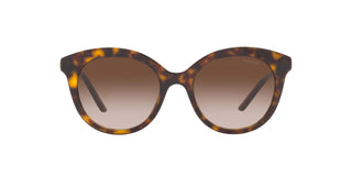 
  
    TORTOISE | BRONZE GRADIENT
  
