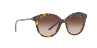 
  
    TORTOISE | BRONZE GRADIENT
  
