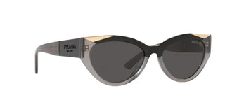 
  
    BLACK OPHTHAL GREY | DARK GREY
  
