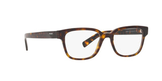 
  
    TORTOISE | TRANSLUCENT
  
