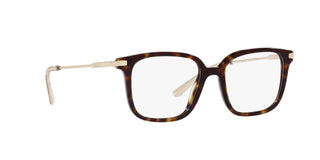 
  
    TORTOISE | TRANSLUCENT
  
