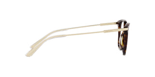 
  
    TORTOISE | TRANSLUCENT
  
