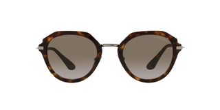 
  
    TORTOISE | BRONZE GRADIENT
  
