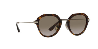 
  
    TORTOISE | BRONZE GRADIENT
  
