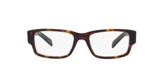 
  
    TORTOISE | TRANSLUCENT
  
