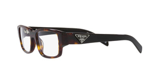 
  
    TORTOISE | TRANSLUCENT
  
