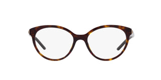 
  
    TORTOISE | TRANSLUCENT
  
