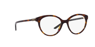 
  
    TORTOISE | TRANSLUCENT
  
