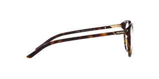 
  
    TORTOISE | TRANSLUCENT
  
