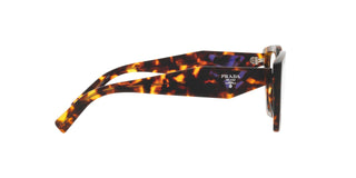 
  
    HONEY TORTOISE | TRANSLUCENT
  
