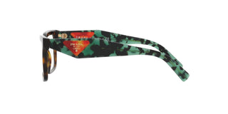 
  
    (2AU1O1) TORTOISE | TRANSLUCENT
  
