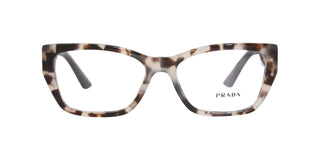 
  
    TEAL TORTOISE | TRANSLUCENT
  
