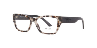 
  
    TEAL TORTOISE | TRANSLUCENT
  
