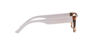 
  
    CARAMEL TORTOISE | TRANSLUCENT
  
