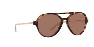 
  
    CARAMEL TORTOISE | BARK BRONZE
  
