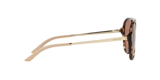 
  
    CARAMEL TORTOISE | BARK BRONZE
  
