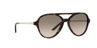 
  
    TORTOISE | LIGHT BRONZE GRADIENT GREY
  
