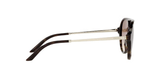 
  
    TORTOISE | LIGHT BRONZE GRADIENT GREY
  
