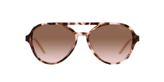 
  
    ORCHID TORTOISE | BRONZE GRADIENT
  
