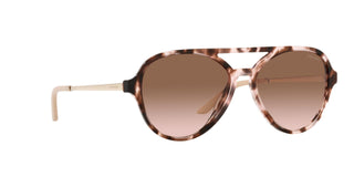 
  
    ORCHID TORTOISE | BRONZE GRADIENT
  
