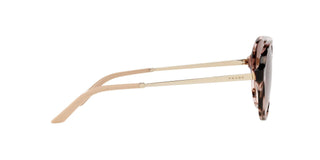 
  
    ORCHID TORTOISE | BRONZE GRADIENT
  
