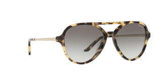 
  
    MEDIUM TORTOISE | GREY GRADIENT
  
