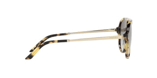 
  
    MEDIUM TORTOISE | GREY GRADIENT
  
