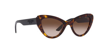 
  
    HAVANA | BRONZE GRADIENT
  
