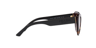 
  
    HAVANA | BRONZE GRADIENT
  
