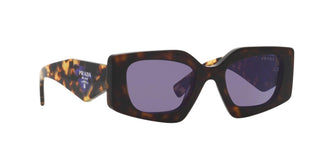 
  
    TORTOISE | VIOLET MIRROR INTERNAL SILVER
  
