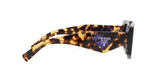 
  
    TORTOISE | VIOLET MIRROR INTERNAL SILVER
  
