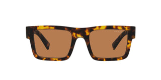 
  
    HONEY TORTOISE | BRONZE
  
