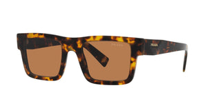 
  
    HONEY TORTOISE | BRONZE
  
