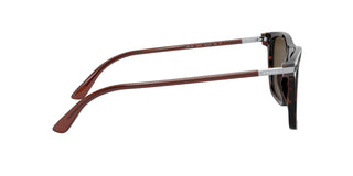 
  
    HAVANA | POLAR BRONZE
  
