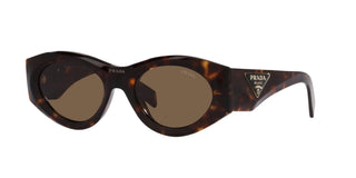 
  
    TORTOISE | DARK BRONZE
  
