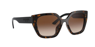 
  
    HAVANA | BRONZE GRADIENT
  
