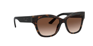 
  
    HAVANA | BRONZE GRADIENT
  
