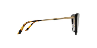 
  
    BLACK HAVANA | GREY GRADIENT
  
