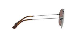 
  
    GUNMETAL | POLAR BRONZE
  
