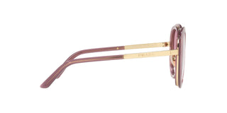 
  
    BUGANVILLE OPHTHAL | CLARET GRADIENT RED
  
