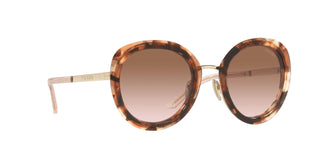 
  
    CARAMEL TORTOISE | BRONZE GRADIENT
  
