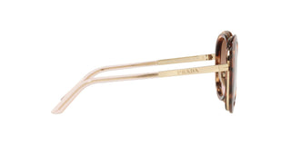 
  
    CARAMEL TORTOISE | BRONZE GRADIENT
  
