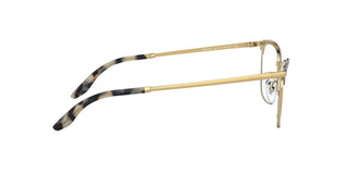 
  
    BRONZE GOLD | TRANSLUCENT
  
